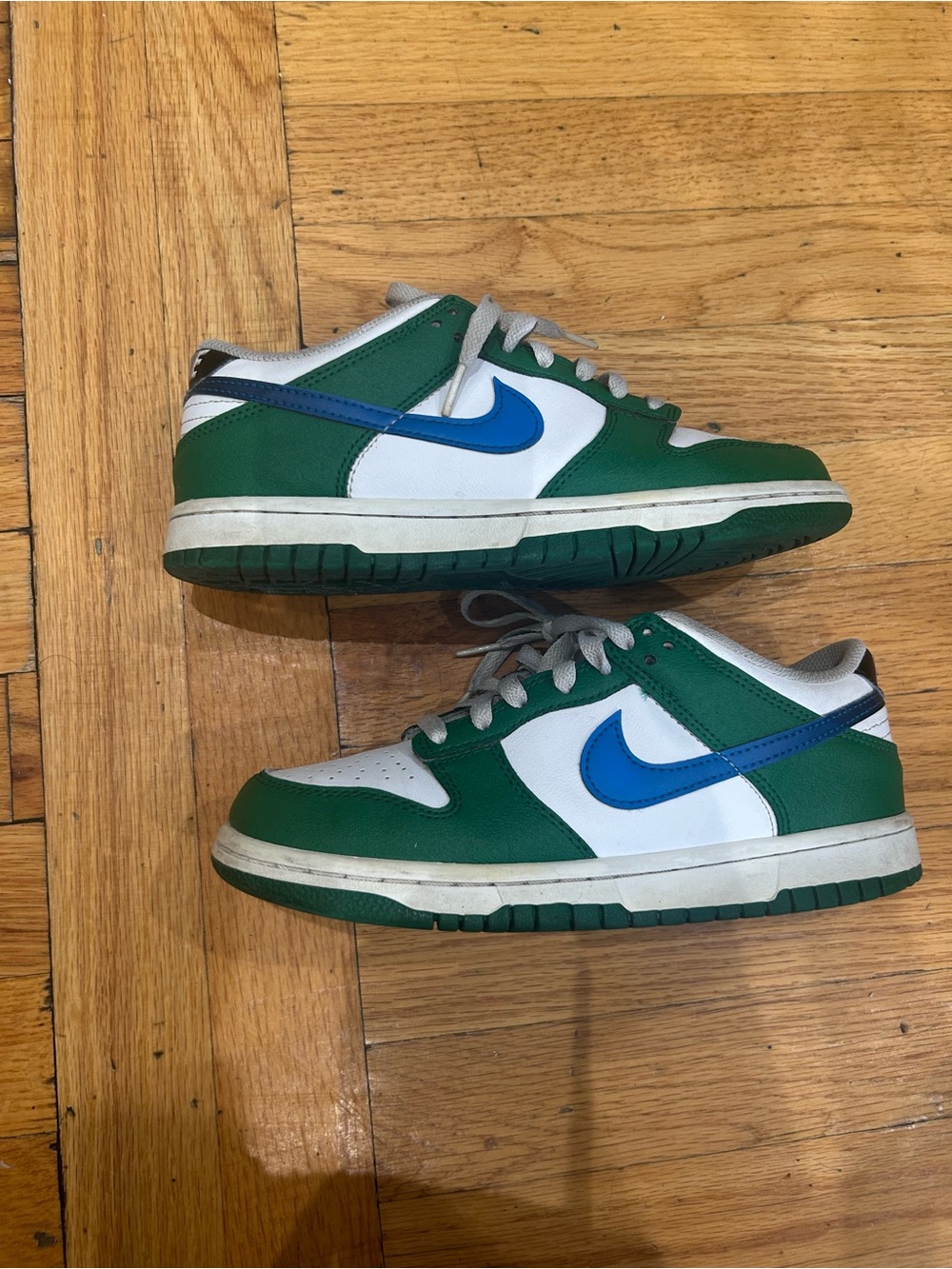 Nike dunk Kids Green, White & Blue Low-Top Sneakers